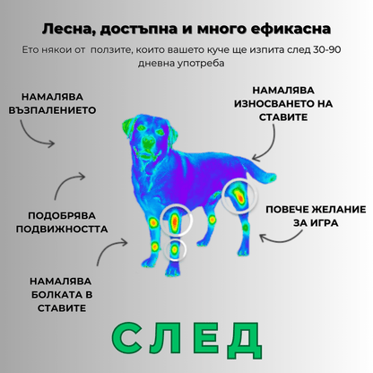 АРТРО ПЛЮС- връща радостта от движението d-r Simeon Madzharov 